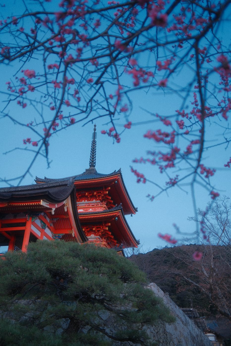 Kyoto photograph 1
